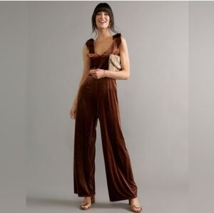 Francesca's Collections Chocolate Velvet Jumpsuit